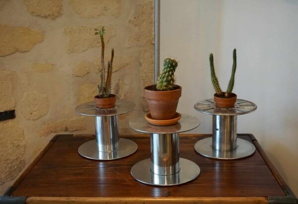 Idéee, porte castus succulente ou plante