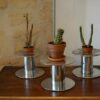 Idéee, porte castus succulente ou plante