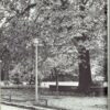 lampadaire Holophane