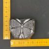 Butterfly engraved in steel