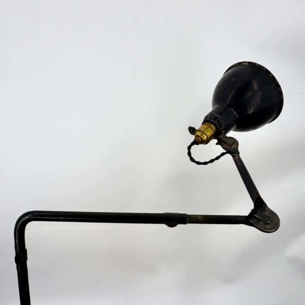 Rare Gras lamp model