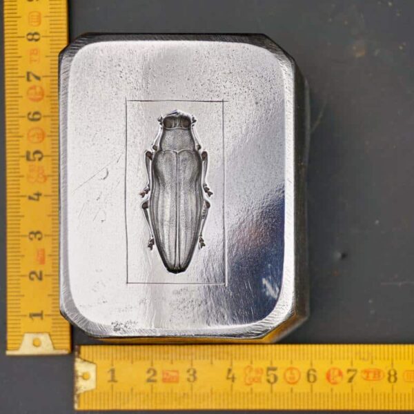 Paper press with engraved insect