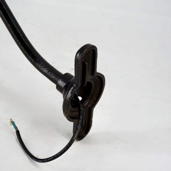 Gooseneck lamp with enamelled plate