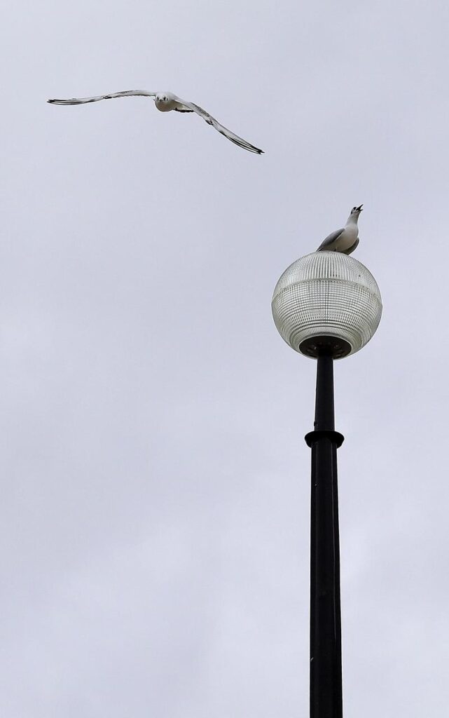 Photo by Samia ABDERRAHMANI